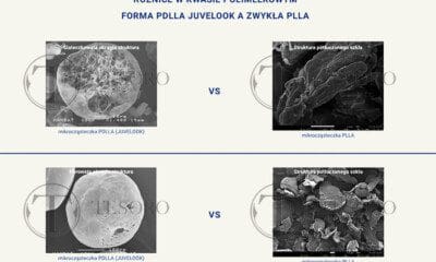roznice-w-kwasie-polimlekowym-pdlla